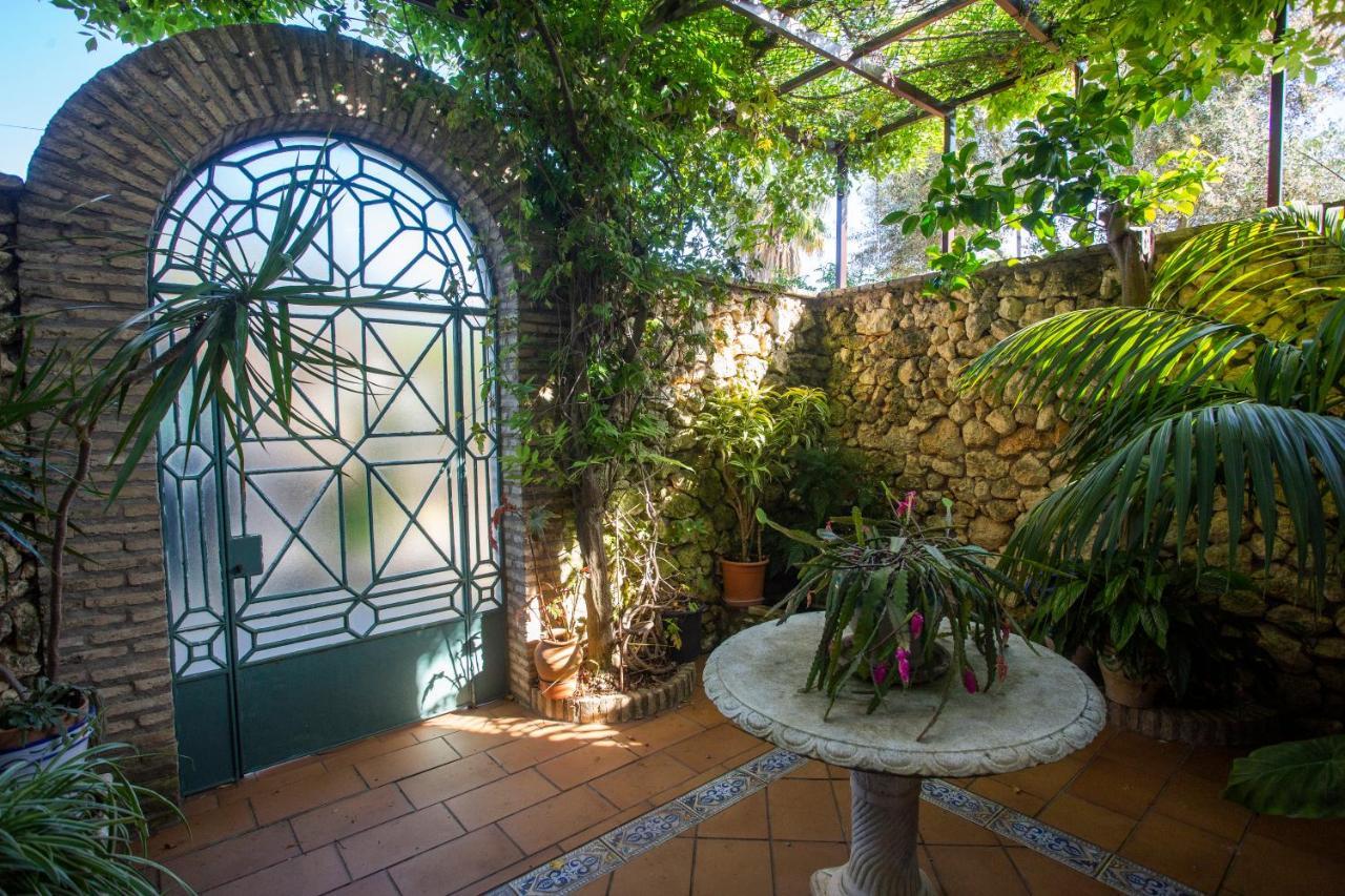 Bed and Breakfast La Casa Del Torreon Альхараке Экстерьер фото