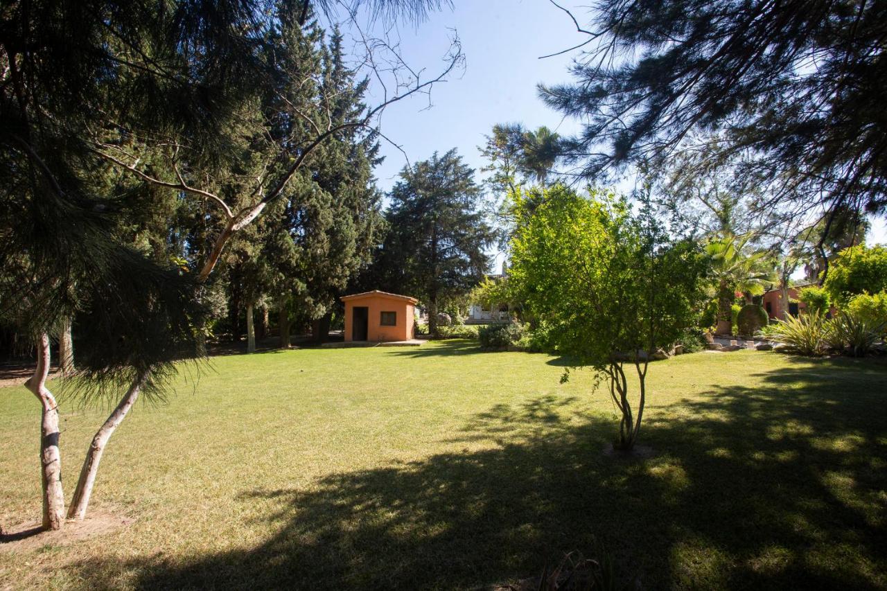 Bed and Breakfast La Casa Del Torreon Альхараке Экстерьер фото