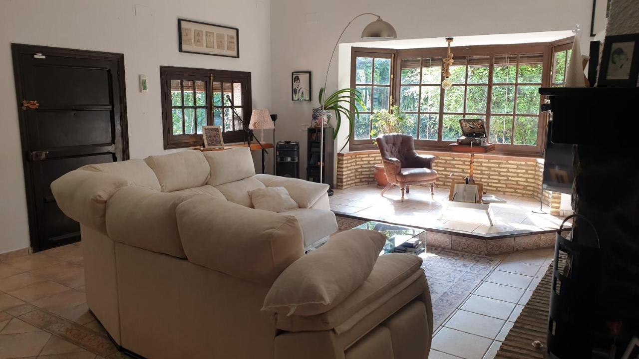 Bed and Breakfast La Casa Del Torreon Альхараке Экстерьер фото