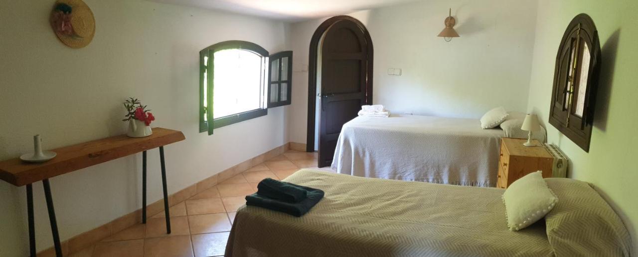 Bed and Breakfast La Casa Del Torreon Альхараке Экстерьер фото